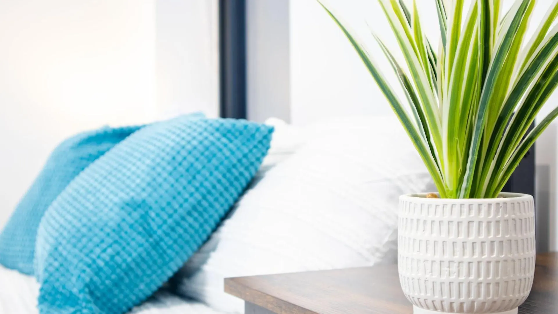 Central 2 Bed 2 Bath Penthouse Near Beach, Hospital - Long Stay Rates Available Brighton Apartment
